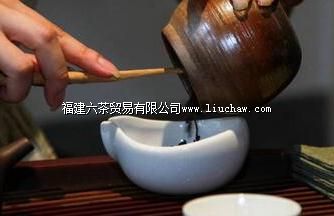 要泡好茶,知道这些是关键