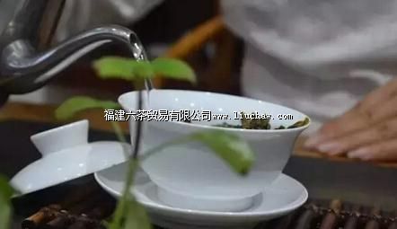 新手冲泡普洱茶的简易方法