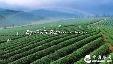 �ڲ���ġ������