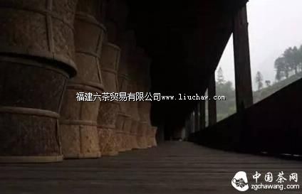 【学茶记】正山小种 真假“松烟香” 【学茶记】正山小种 真假“松烟香”