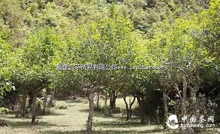 ���ˡ������ʫ�����㻹Ӧ��֪����Щ���ڲ�Ĺ�ʫ