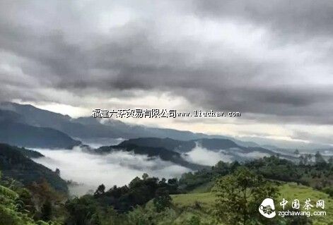 ���ˡ������ʫ�����㻹Ӧ��֪����Щ���ڲ�Ĺ�ʫ