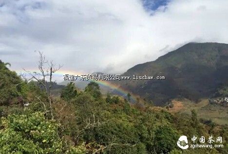 ���ˡ������ʫ�����㻹Ӧ��֪����Щ���ڲ�Ĺ�ʫ