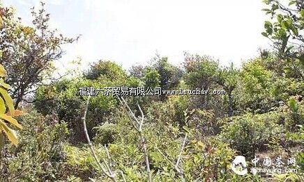 ���ˡ������ʫ�����㻹Ӧ��֪����Щ���ڲ�Ĺ�ʫ