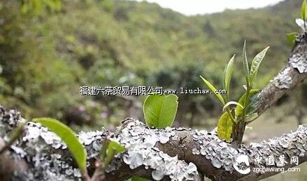 ���ˡ������ʫ�����㻹Ӧ��֪����Щ���ڲ�Ĺ�ʫ