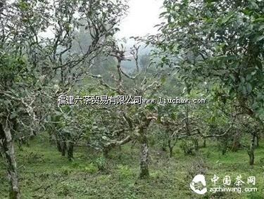 ��ѧ��ǡ��衰�Ͳ����ݡ���˵�˲���