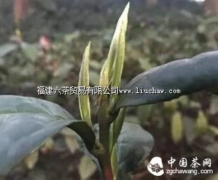 ��Ѱ��ǡ������еġ������� �� �����ʶ��