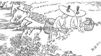 ��ʻ� | �Ҳ贫ͳ��������