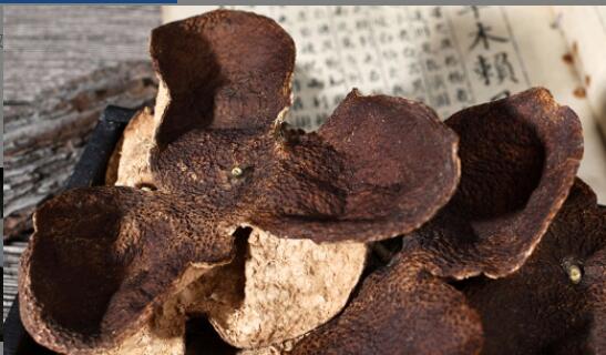 ��Ƥ����������ʲô����