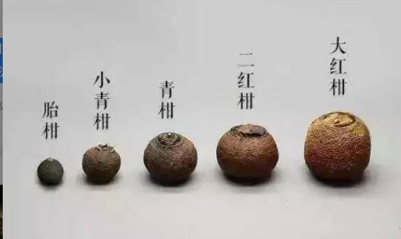 陈皮和普洱茶一起泡水的功效与作用 陈皮和普洱茶一起泡水的功效与作用