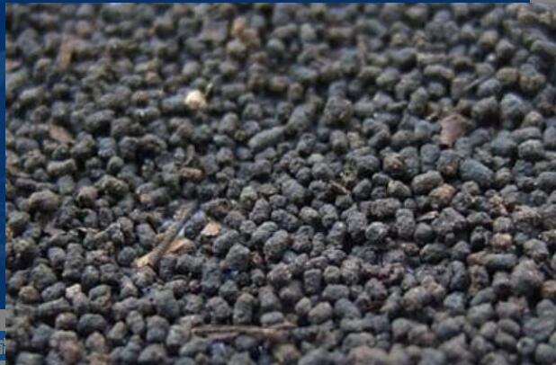 ��ʺ����ʲô�� ��ʺ��Ĺ�Ч������