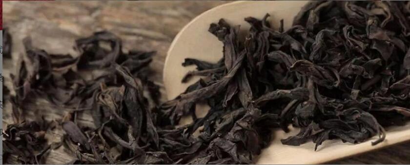 大红袍适合冬天吗 大红袍适合冬天吗