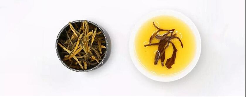滇红金针茶的功效与作用 滇红金针茶的功效与作用