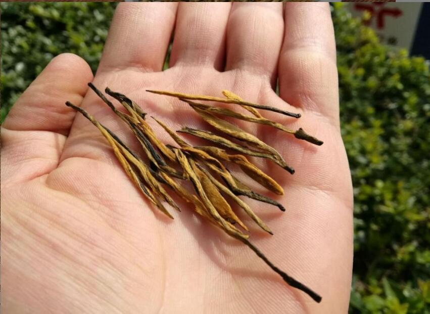 滇红金针茶的功效与作用 滇红金针茶的功效与作用