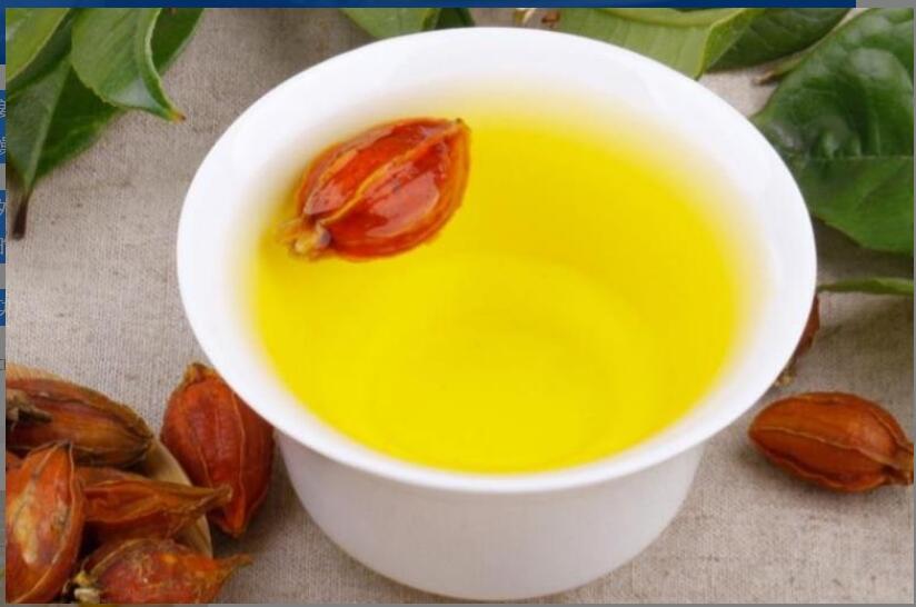 枙子和干姜泡水有什么功效 枙子和干姜泡水有什么功效