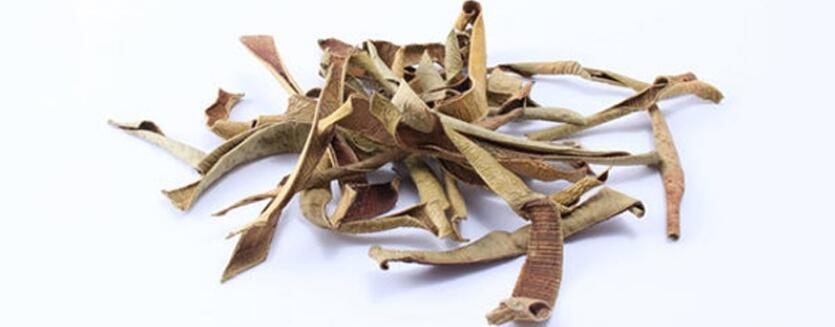 干芦荟茶的功效与禁忌 干芦荟茶的功效与禁忌