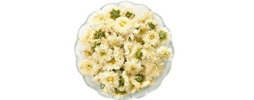 贡菊花茶的作用和功效 贡菊花茶的作用和功效