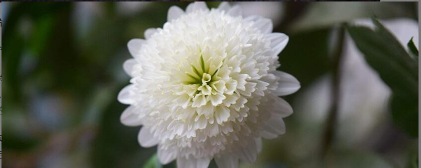 ������ˮ����ʲô��Ч