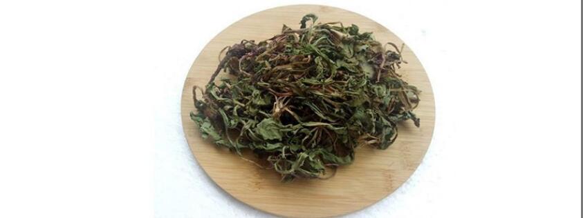 古古丁茶的功效与作用 古古丁茶的功效与作用