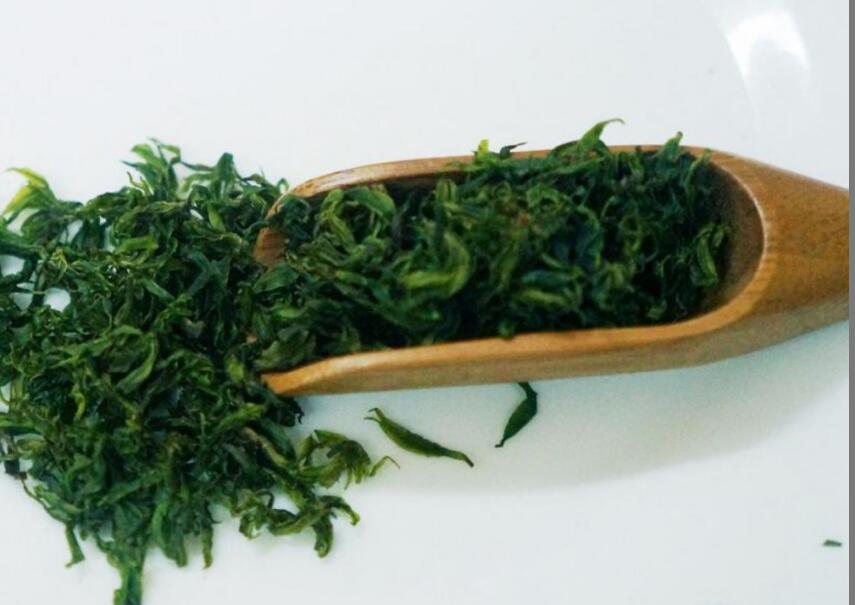 贵州小叶苦丁茶的功效与作用 贵州小叶苦丁茶的功效与作用