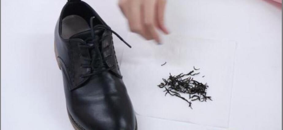 �����˵Ĳ�Ҷ��ʲô���÷���