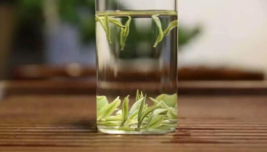 喝安吉白茶的九大功效 喝安吉白茶的九大功效