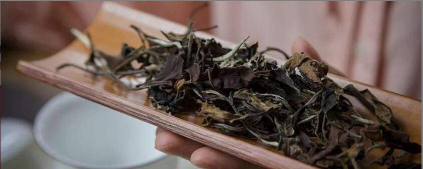 喝白茶有哪些好处. 喝白茶有哪些好处.