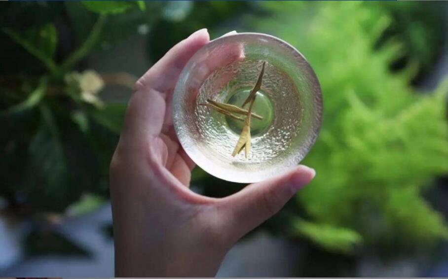 �Ȳ��ܼ��ʼ���֬��