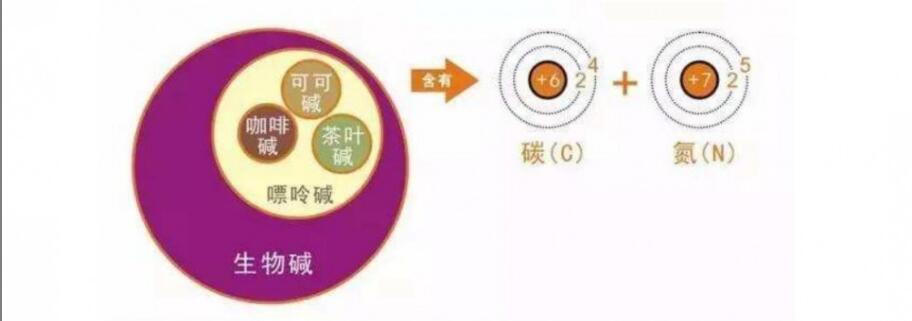 �Ȳ���������