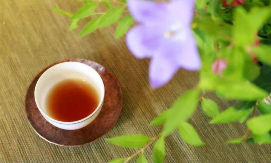 �Ȳ���������