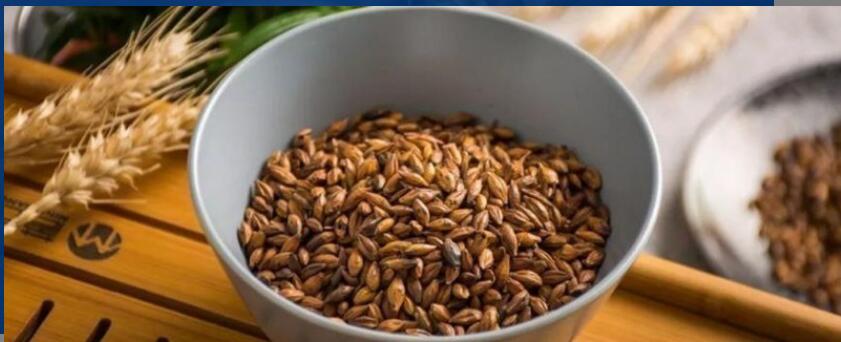 喝什么茶刮油减肥 喝什么茶刮油减肥