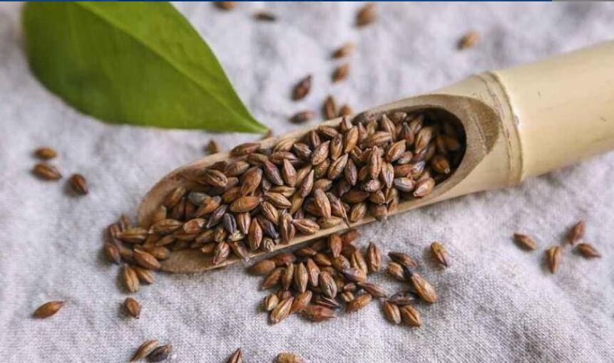 喝什么茶有助于排大便 喝什么茶有助于排大便