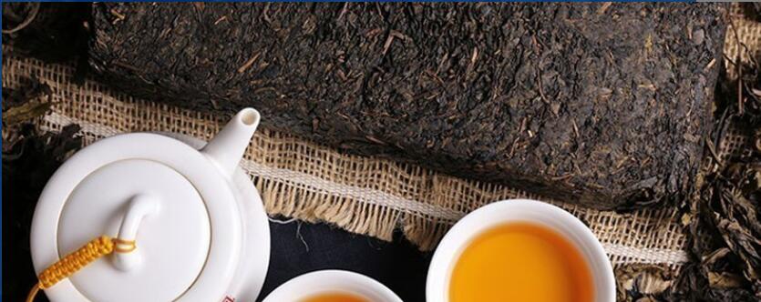 黑茶金花菌的功效和作用 黑茶金花菌的功效和作用