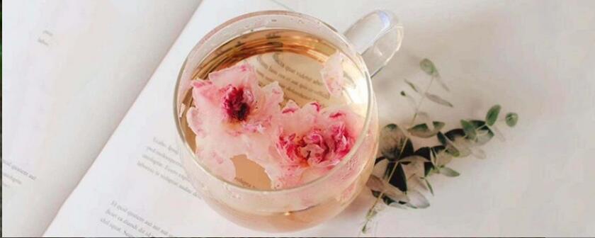 ���ݲ���ʲô��Ч