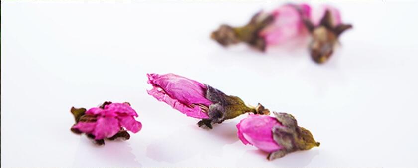 ���ݲ���ʲô��Ч