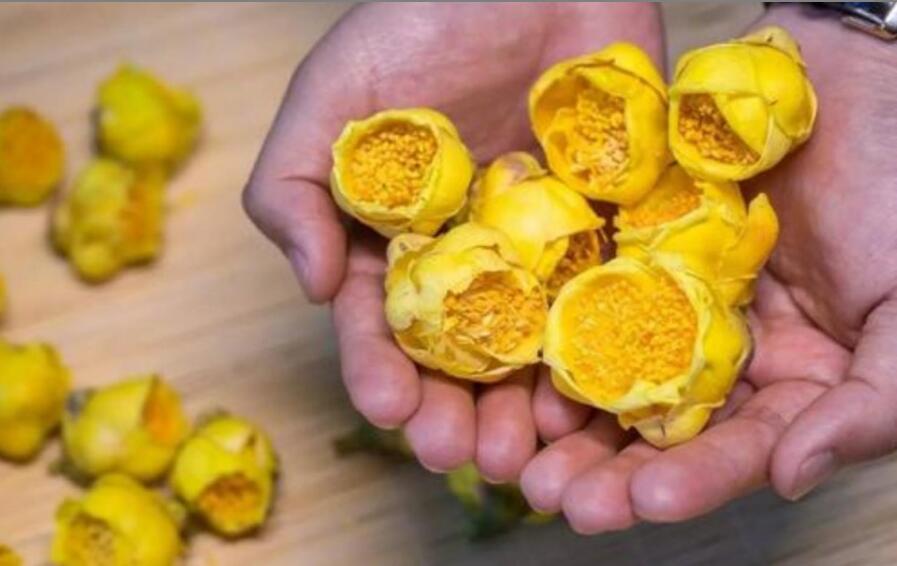 黄金花茶的功效与作用 黄金花茶的功效与作用