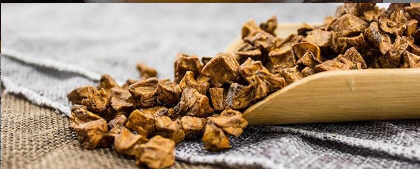 菊苣根茶的功效与作用 菊苣根茶的功效与作用