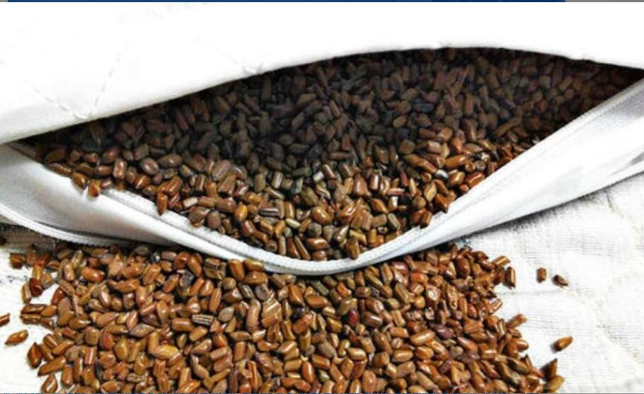 决明子枕头的功效与禁忌 决明子枕头的功效与禁忌