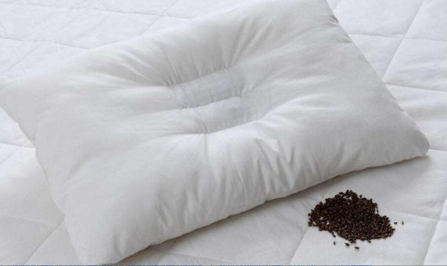 决明子枕头的功效与禁忌 决明子枕头的功效与禁忌