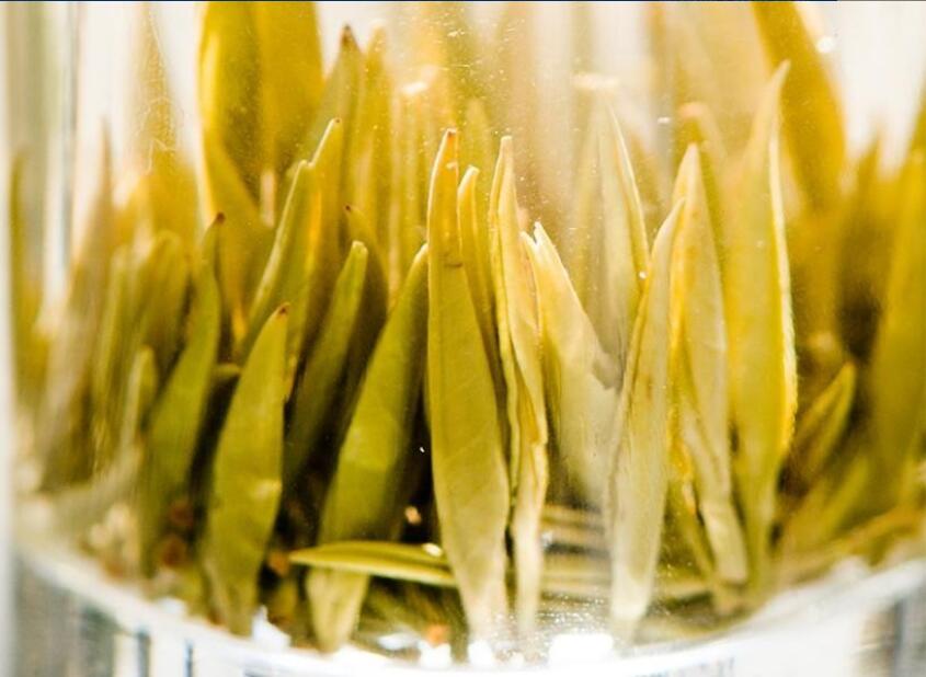 ��ɽ�����Ĺ�Ч������