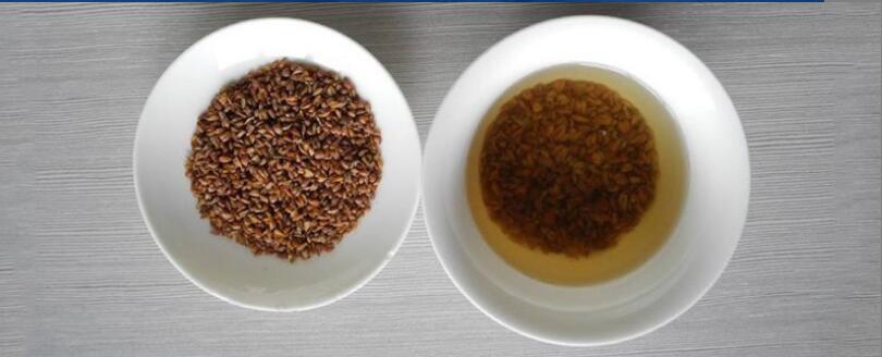 苦芥茶的功效与作用及禁忌 苦芥茶的功效与作用及禁忌