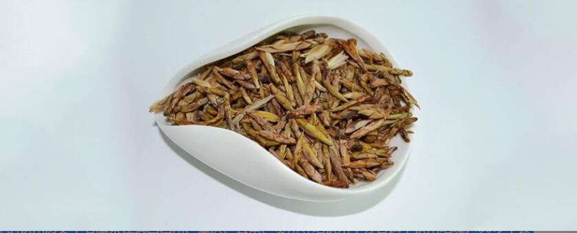 ��ӥ��Ĺ�Ч