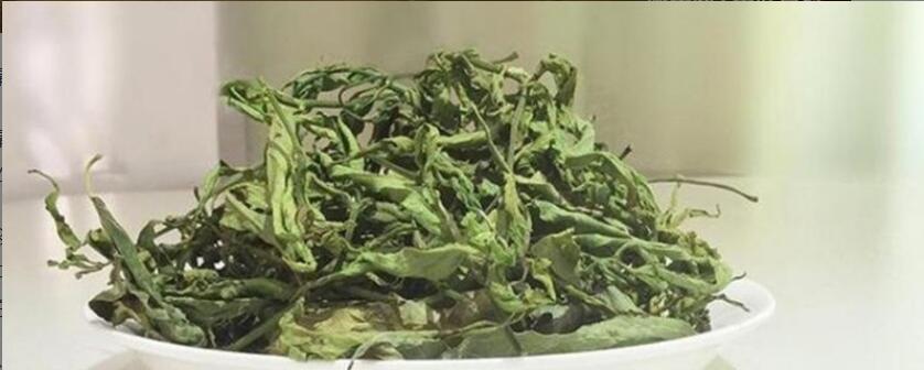 黎青茶的功效与作用及禁忌 黎青茶的功效与作用及禁忌