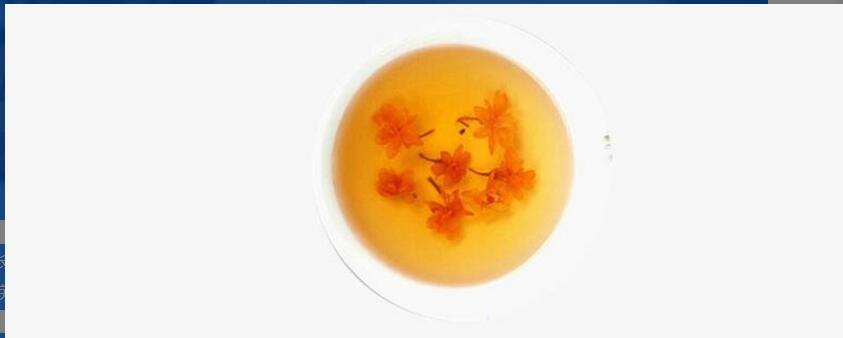 连翘花泡水喝的功效与作用 连翘花泡水喝的功效与作用