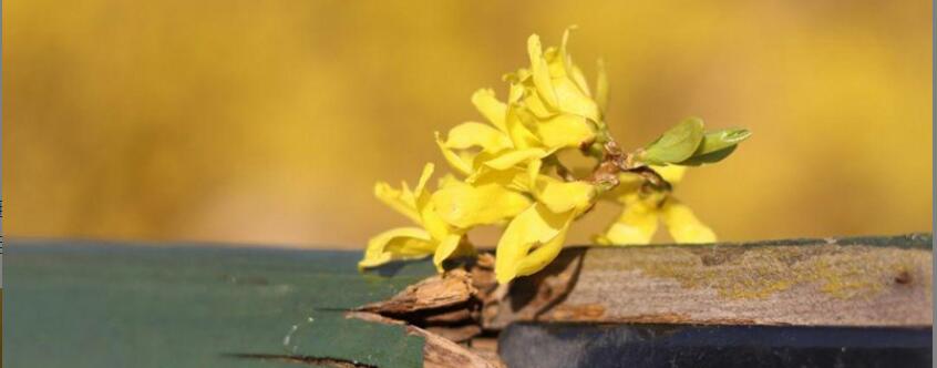 ���̻���ˮ�ȵ��ô�