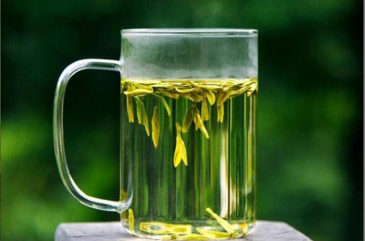 龙井适合什么季节喝 龙井适合什么季节喝