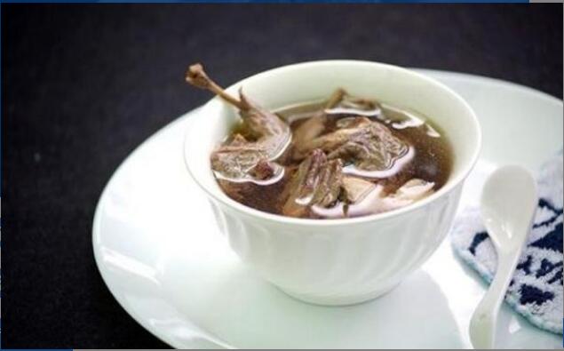 龙利叶的功效与作用及使用方法 龙利叶的功效与作用及使用方法