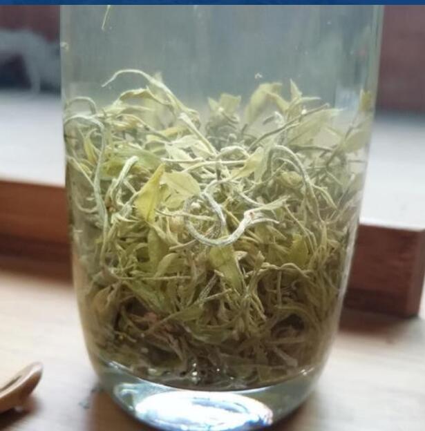 龙须莓茶的功效与作用及禁忌 龙须莓茶的功效与作用及禁忌