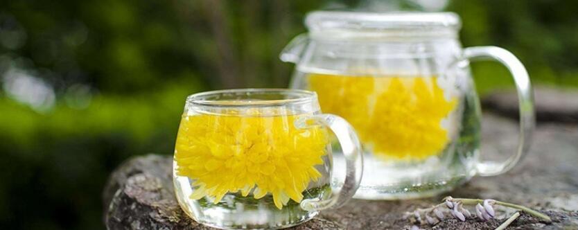 绿茶菊花茶功效与作用 绿茶菊花茶功效与作用