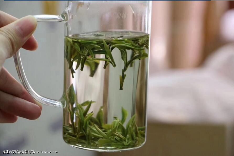 绿茶与红茶的功效区别 绿茶与红茶的功效区别